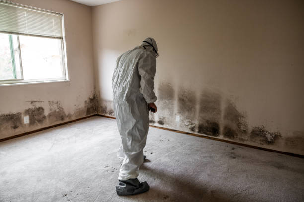 Jonesville, LA Mold Remediation Company
